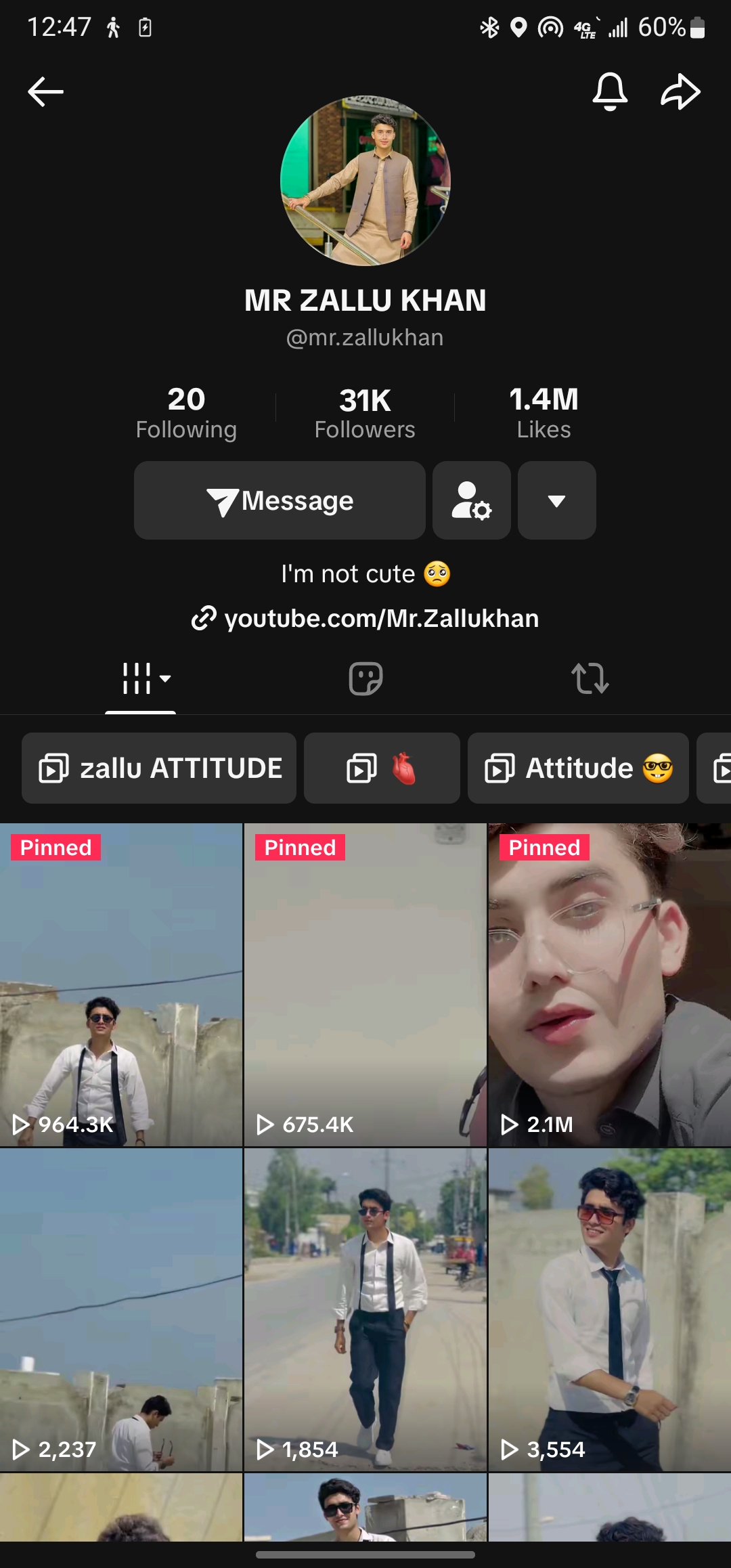TikTok followers proof
